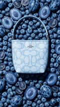 C BUCKET BAG